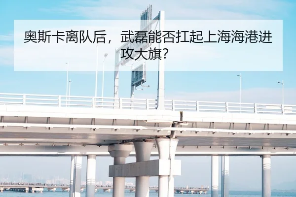 奥斯卡离队后，武磊能否扛起上海海港进攻大旗？