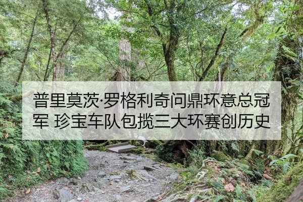 pu-li-mo-ci-luo-ge-li-qi-wen-ding-huan-yi-zong-guan-jun-zhen-bao-che-dui-bao-lan-san-da-huan-sai-chuang-li-shi-2-225.jpg